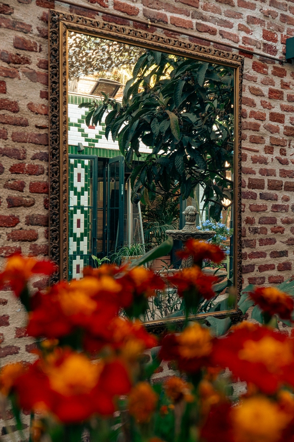 The courtyard in bloom